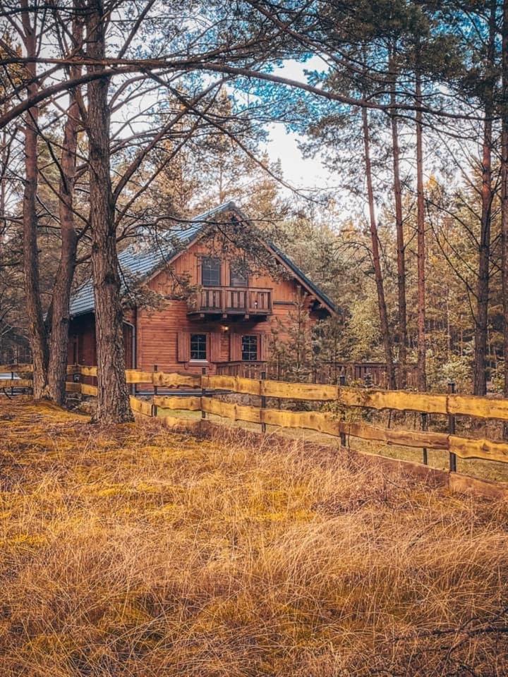 Holiday home Dom W Borach